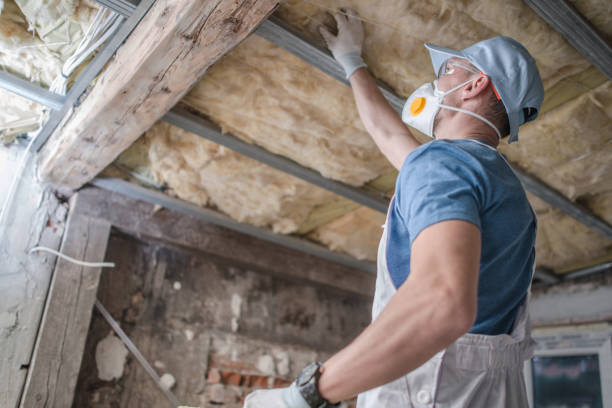 Best Residential Insulation in Town Line, NY