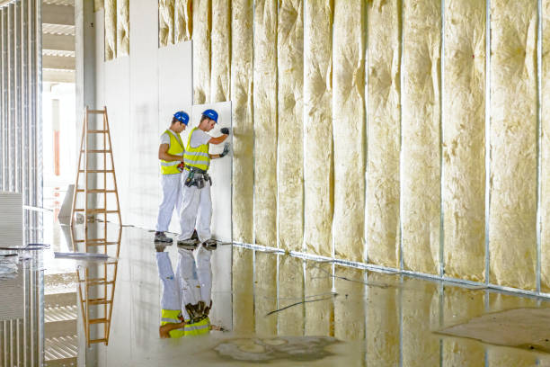 Best Commercial Insulation in Town Line, NY